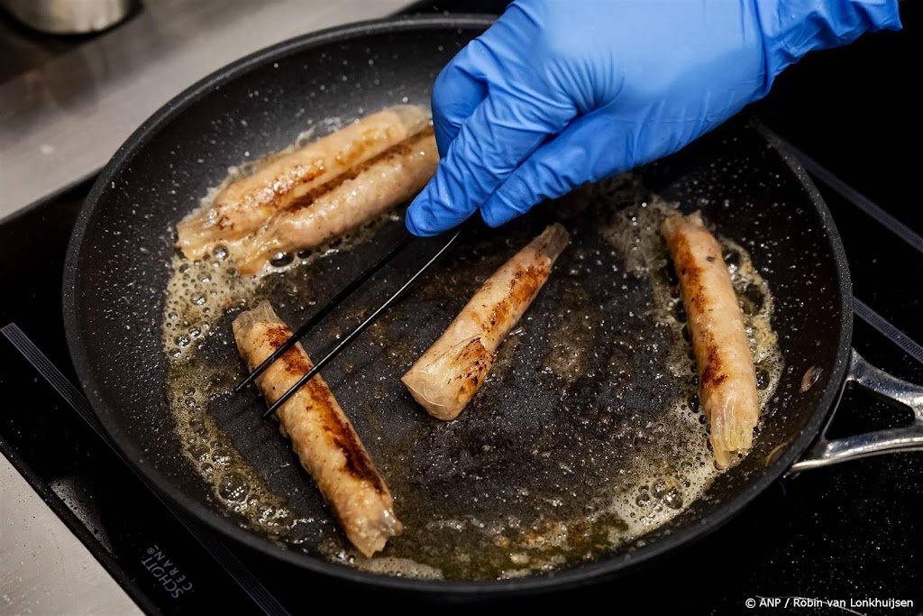 Miljoenen voor opschalen van kweekvleesproductie en fermentatie 
