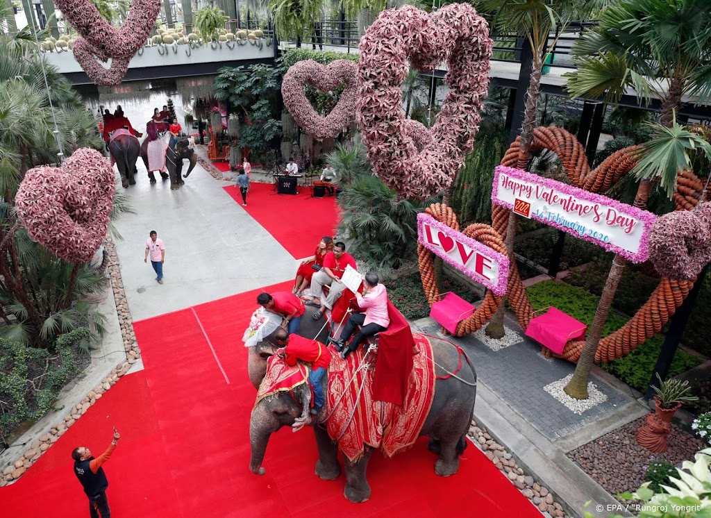 Thaise studenten en olifanten sturen Valentijnsgroet naar China