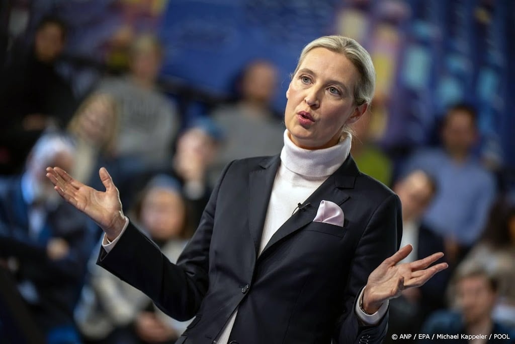 Vicepresident VS ontmoet leider uiterst rechtse Duitse partij AfD