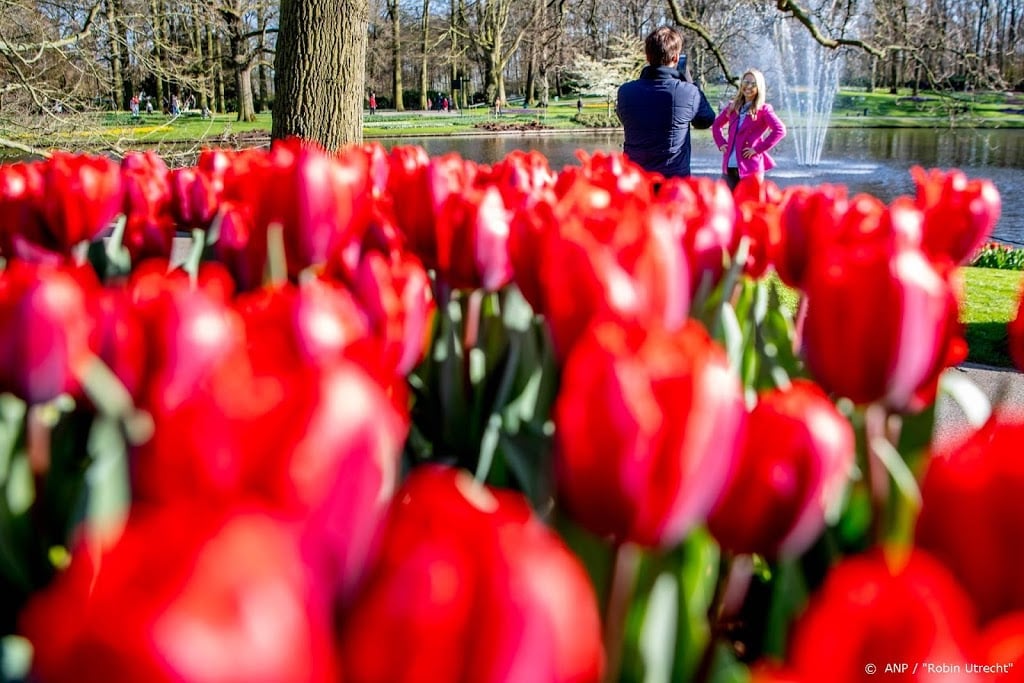 Keukenhof stelt opening uit, financiële gevolgen zijn groot