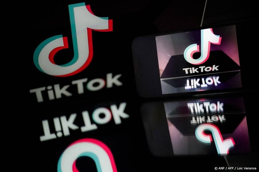 TikTok krijgt miljoenenboete om video's met 'Frans litteken'