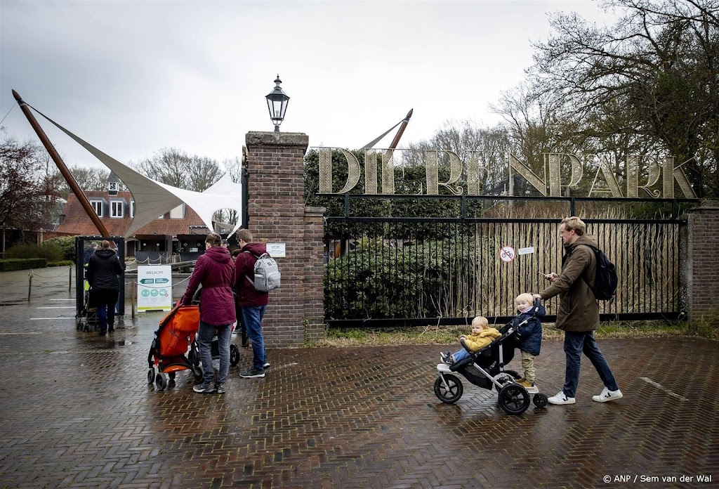 Koala's vanaf eind april te zien in Ouwehands Dierenpark