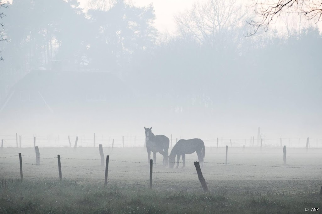 Code geel om mist ingetrokken
