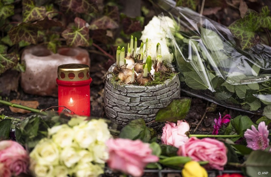 Onderzoek psyche verdachte dodelijke steekpartij in Den Dolder 