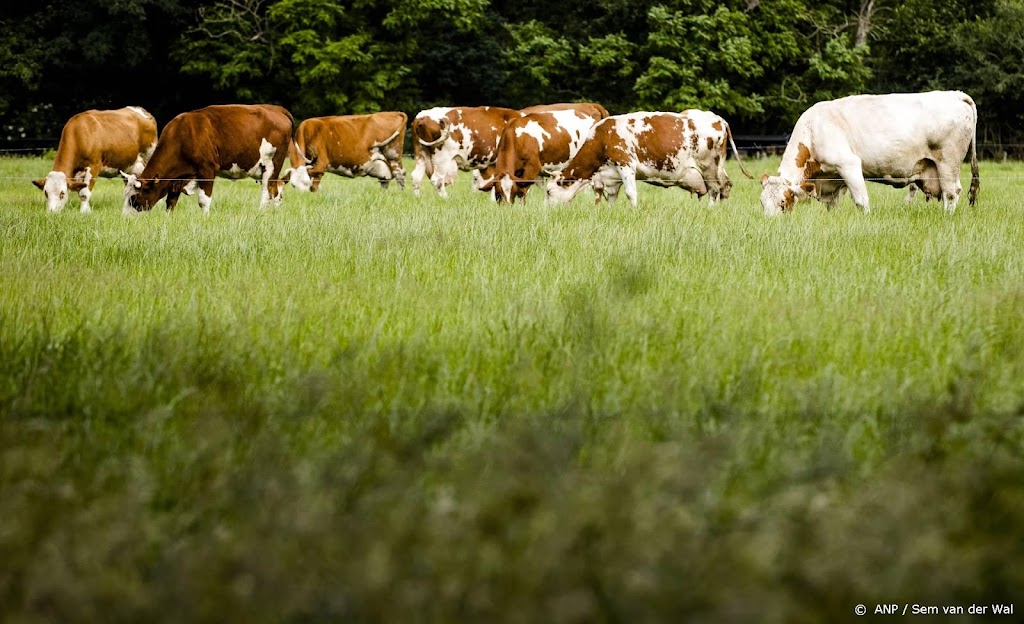 Raad van State moet oordelen over emissiearme stal en koe in wei