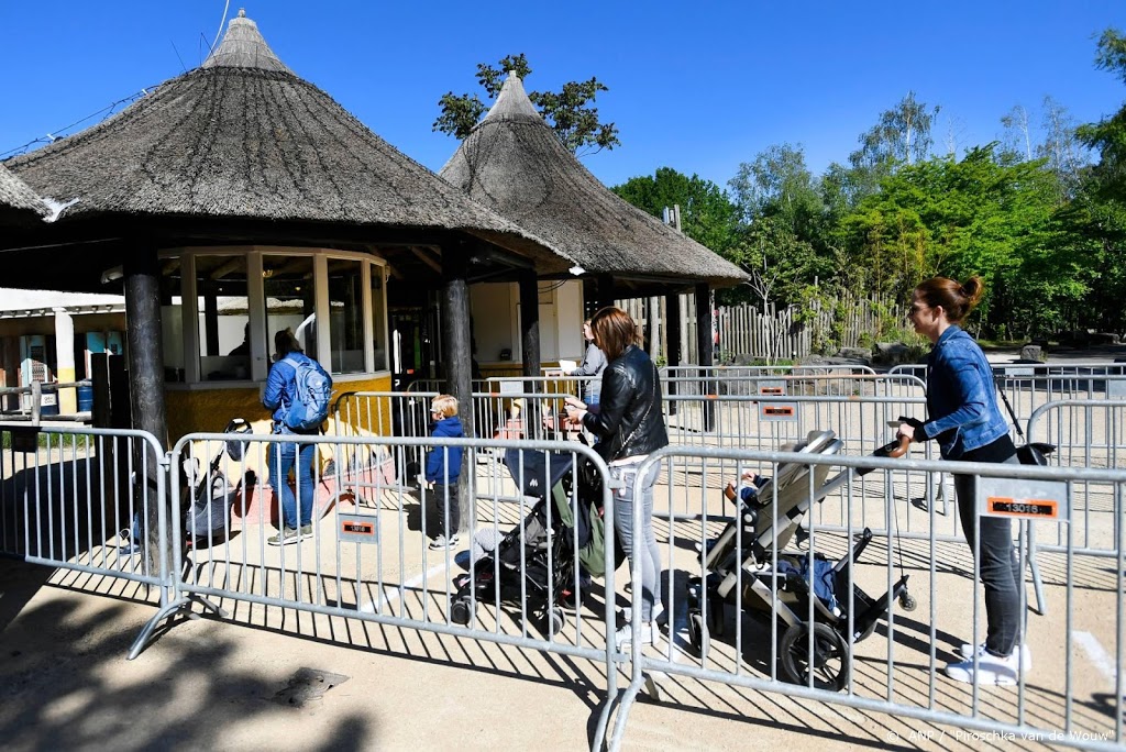 Rode panda geboren in Safaripark Beekse Bergen