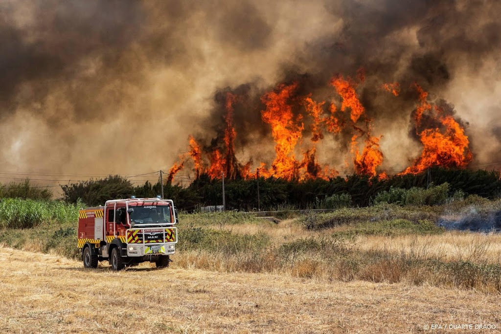 Dode en tientallen gewonden door aanhoudende bosbranden Portugal