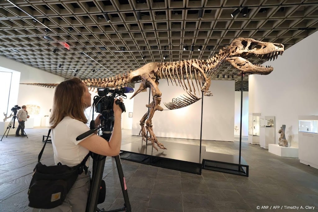 Tyrannosaurus rex geveild voor recordbedrag van 50 miljoen dollar