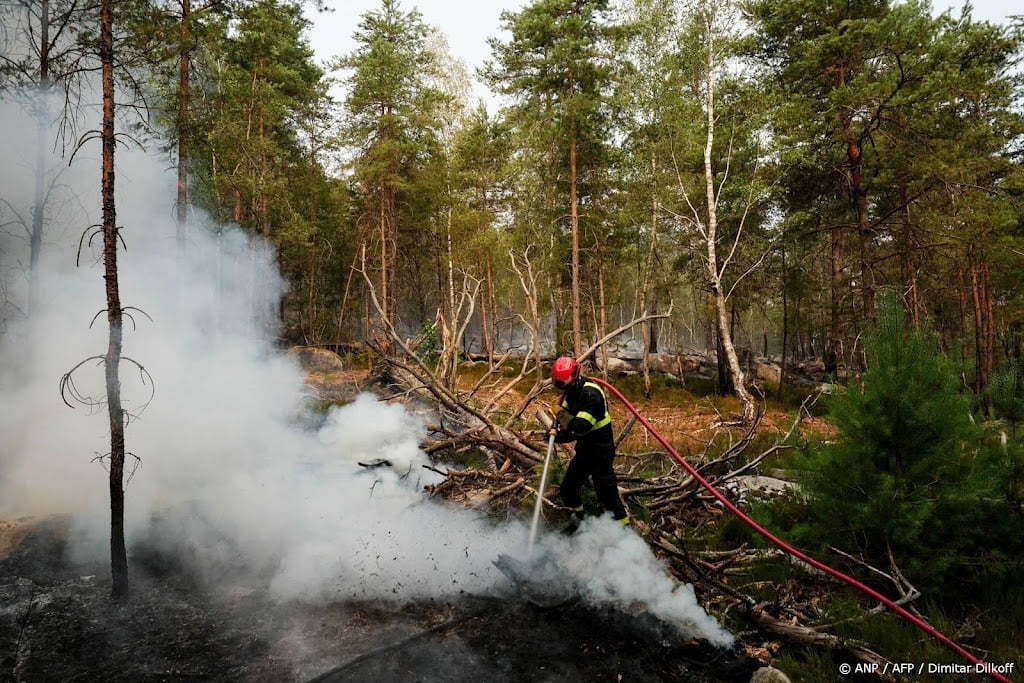 Zes aanhoudingen om bosbrand bij Fontainebleau