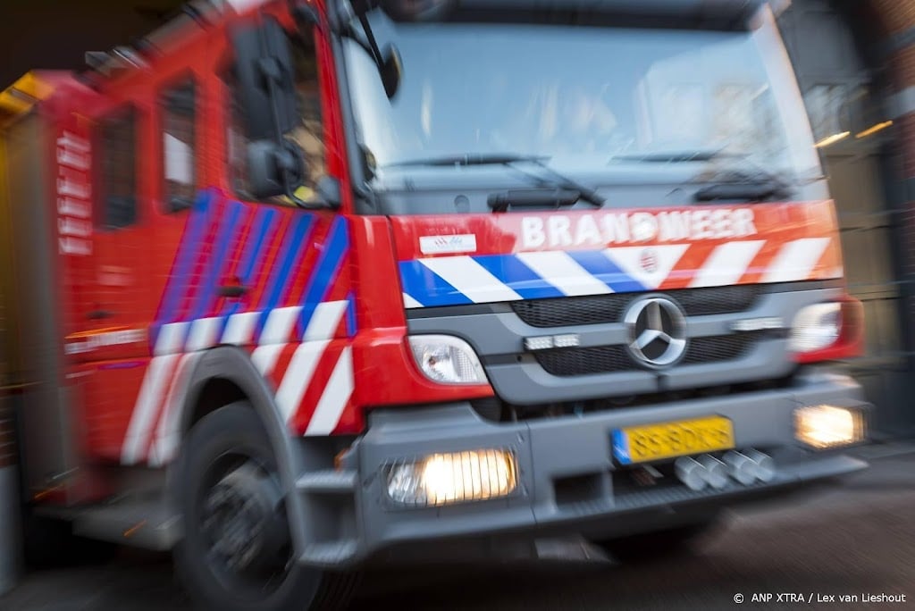 Loods met eierdozen staat in brand in Franeker