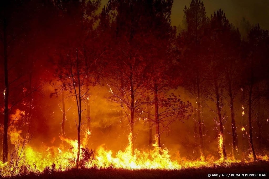 Franse tiener vast om fatale bosbrand bij Bordeaux