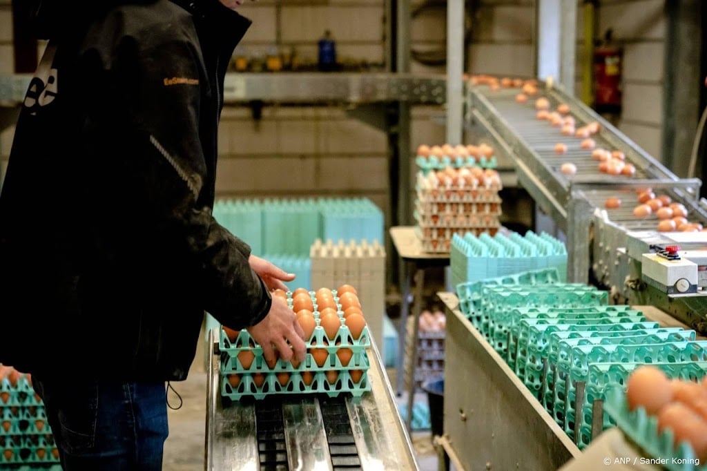 Boelema: nog niets onomkeerbaars gebeurd met vergunningen