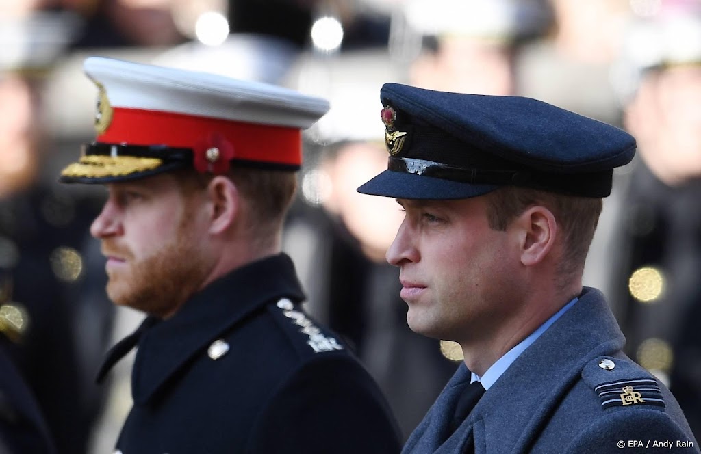 Broers William en Harry samen achter kist koningin Elizabeth