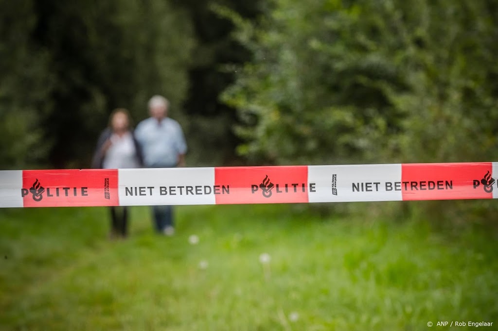 Aantal levensdelicten sinds eeuwwisseling bijna gehalveerd