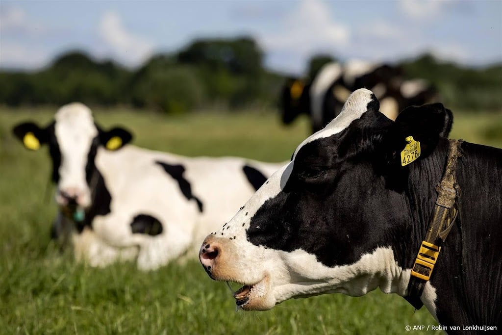 China kijkt naar FrieslandCampina in onderzoek EU-zuivelsubsidies