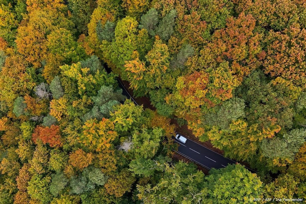 Bossen en bodems in zwaar weer, klimaatraad maakt zich zorgen