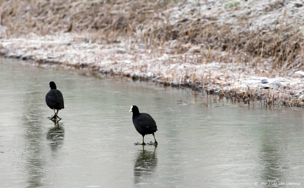 Recordlange periode zonder matige vorst in De Bilt