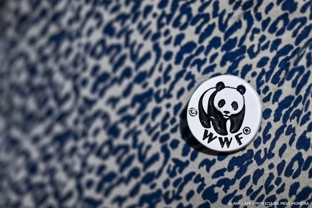 Groene organisaties woest over afzwakking EU-wet tegen ontbossing