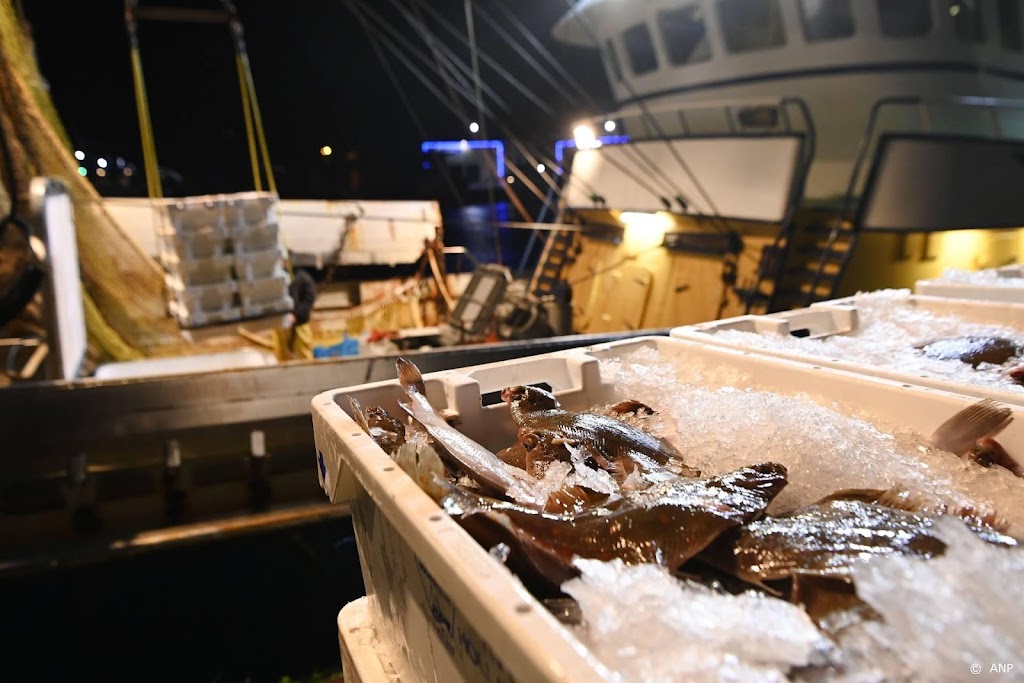 CBS: vissers brachten vorig jaar meer vis naar Nederlandse havens