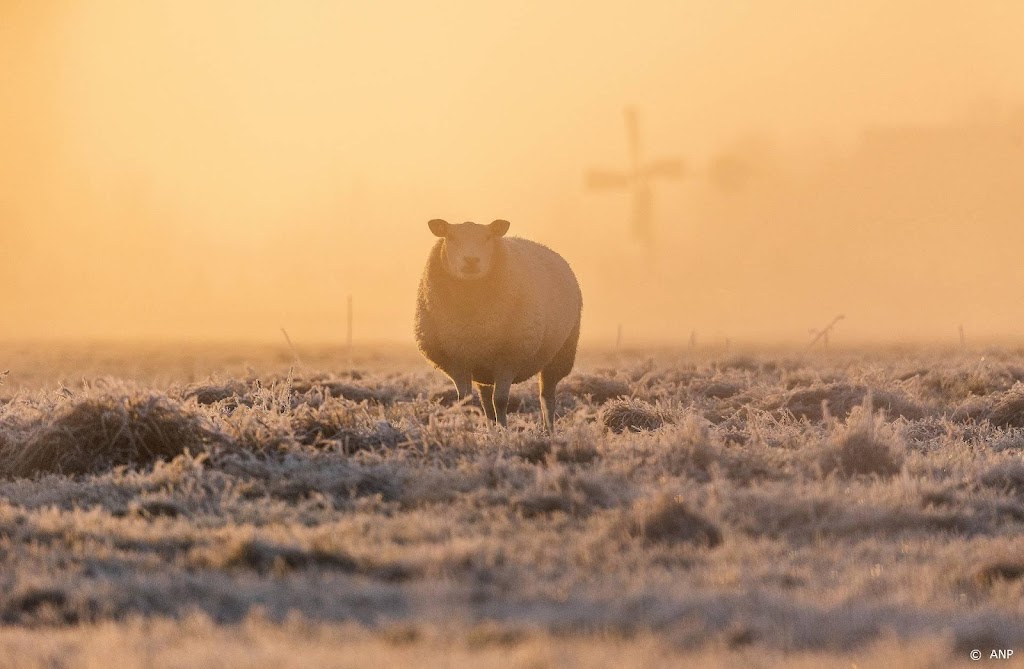 Eerste lokale strenge vorst van de winter: -10,1 graden in Eelde