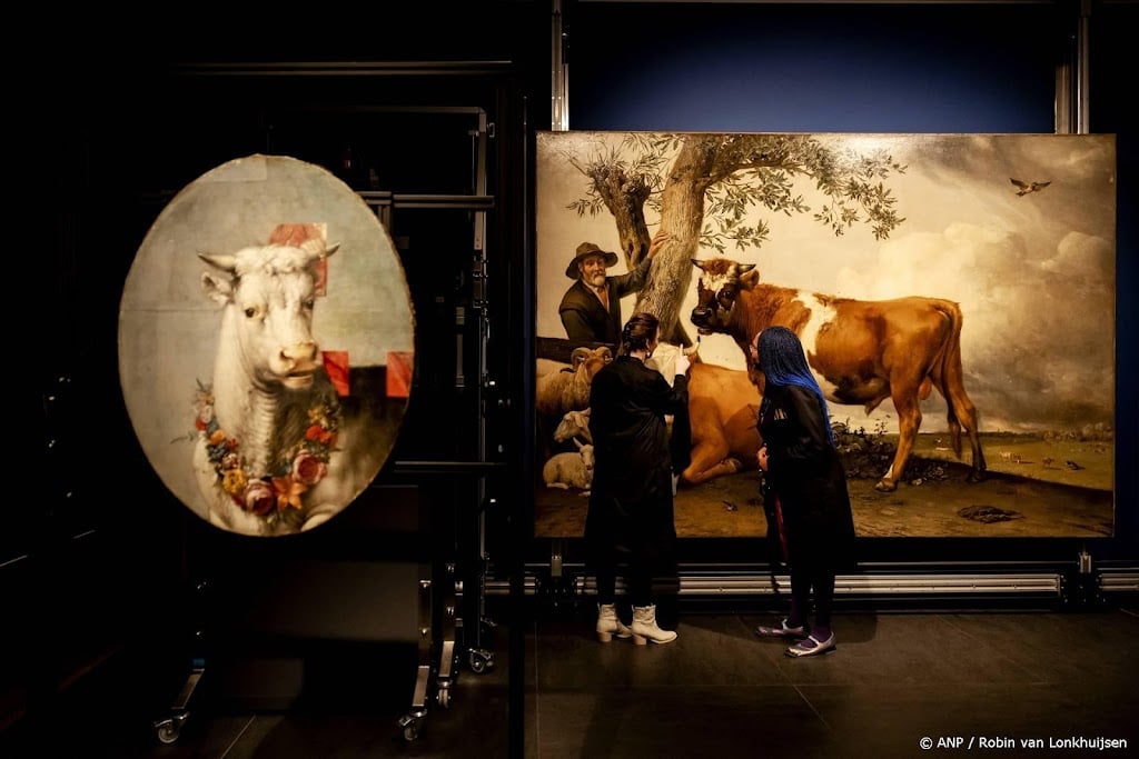 Restauratie Potters Stier klaar, doek eind februari weer op zaal