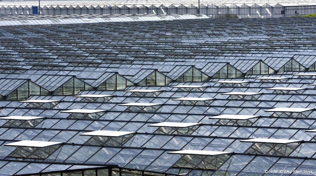 Glastuinbouw Nederland: honderden bedrijven komen in de problemen