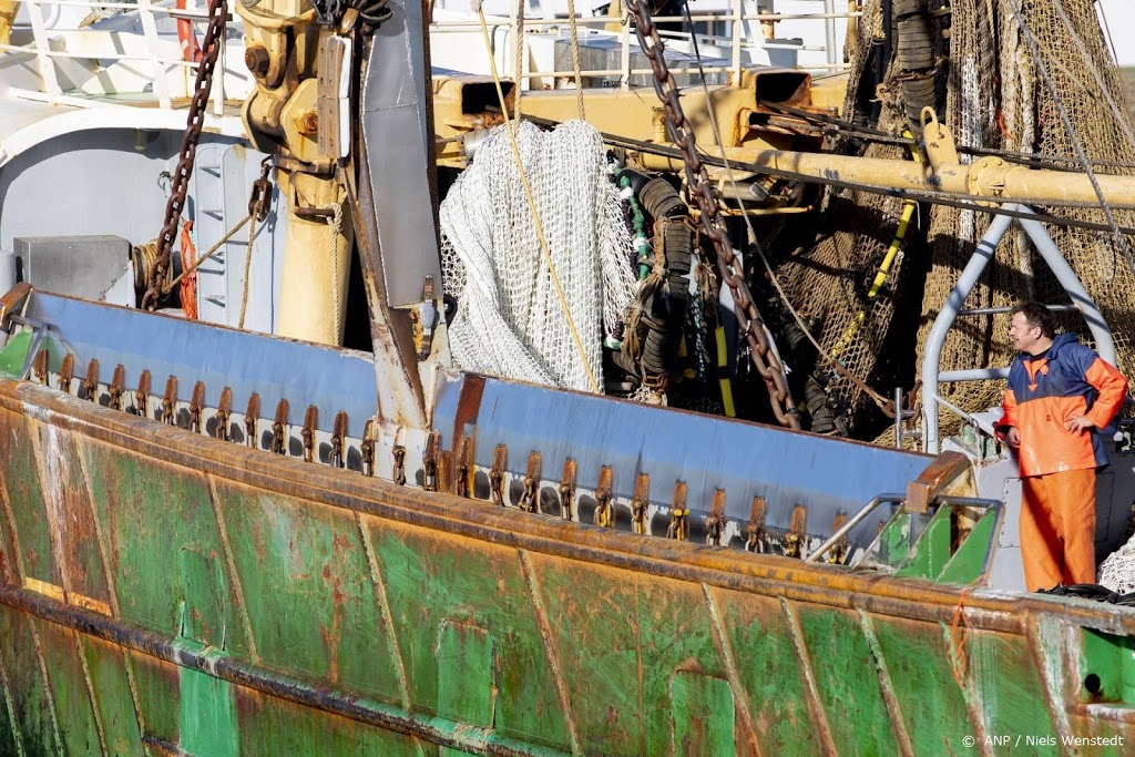 EU-hof oordeelt over Nederlandse eis schrappen pulsverbod 