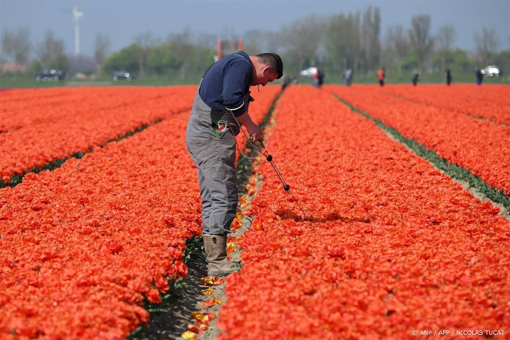 Meertaligheid leidt in de bouw en landbouw vaakst tot misverstand