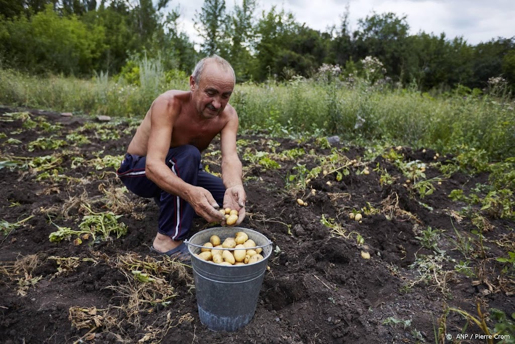 Onderzoek: ruim 4 miljard euro schade aan Oekraïense landbouw 
