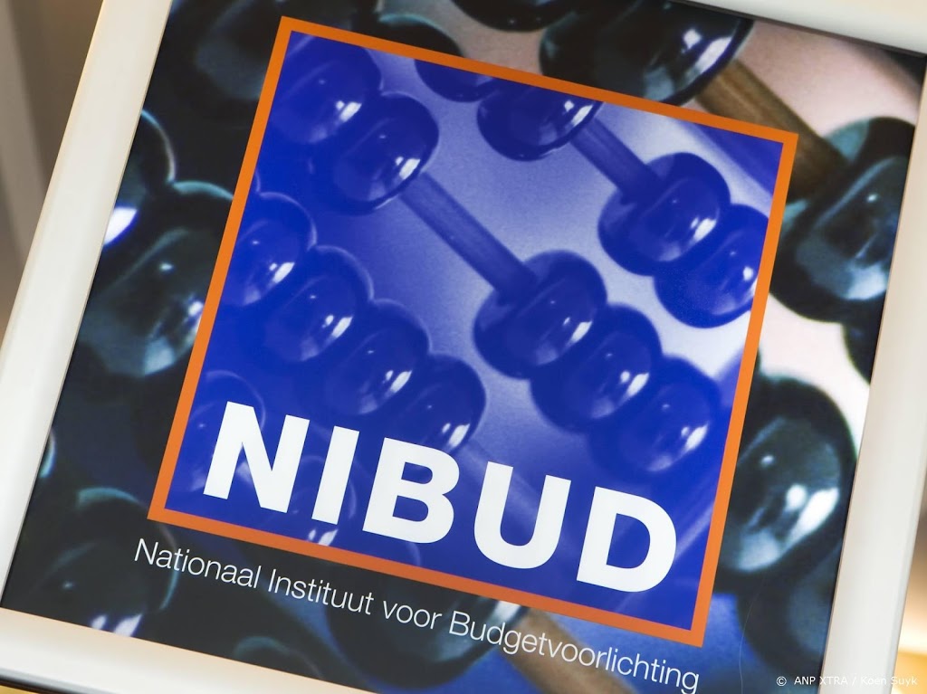 Nibud: zorgen over jonge belegger zonder vangnet