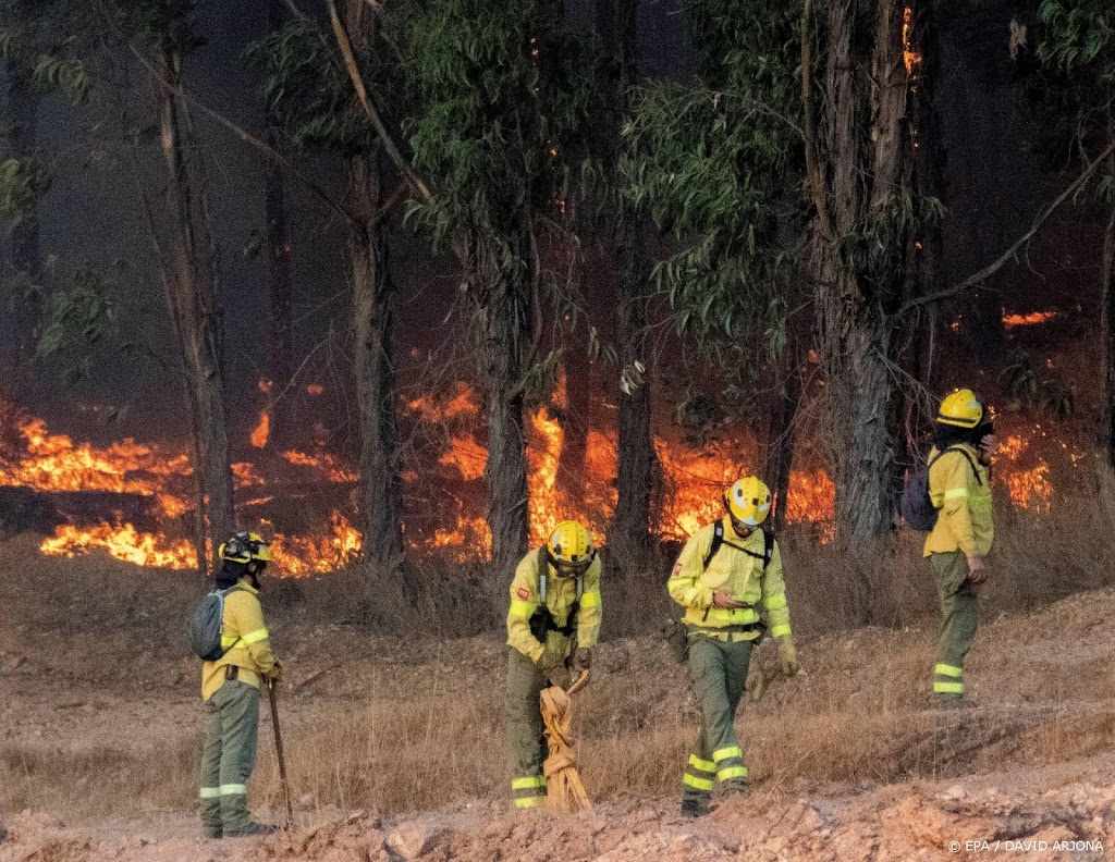 Grote bosbrand in toeristische streek van Spaanse stad Mijas