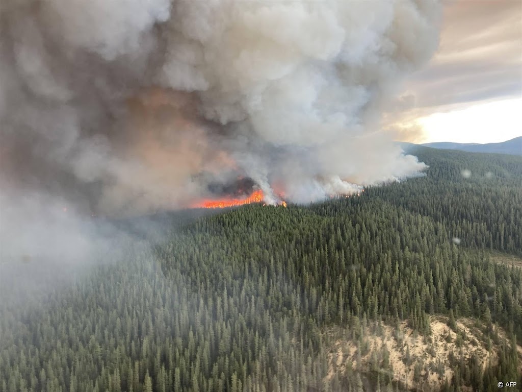 Al tweeëneenhalf keer Nederland aan bos afgebrand in Canada