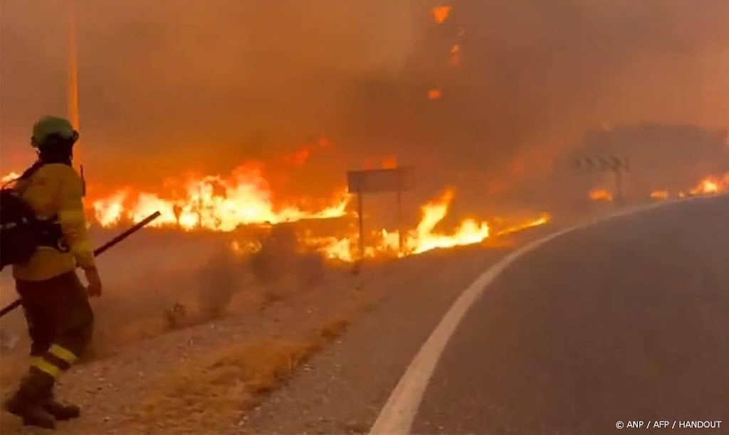 Spanje: 12 van de 13 slachtoffers bosbranden waren buitenlanders
