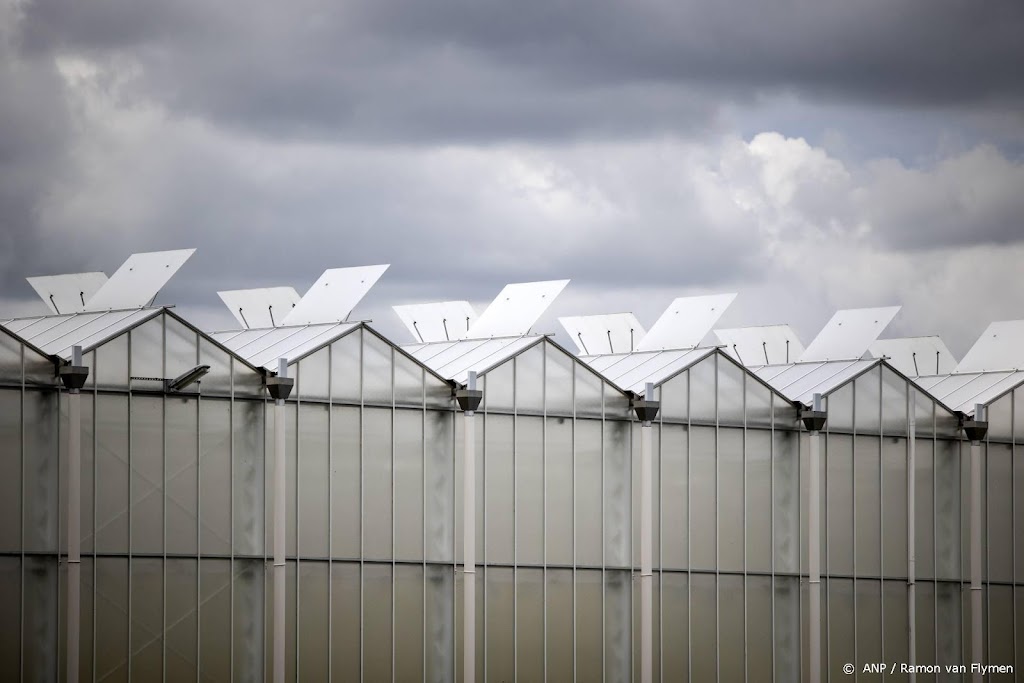 Kwart energie-intensieve bedrijven in het rood door hoge prijzen