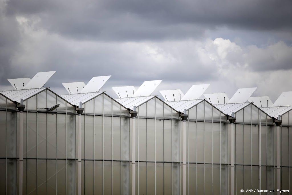 Kwart energie-intensieve bedrijven in het rood door hoge prijzen