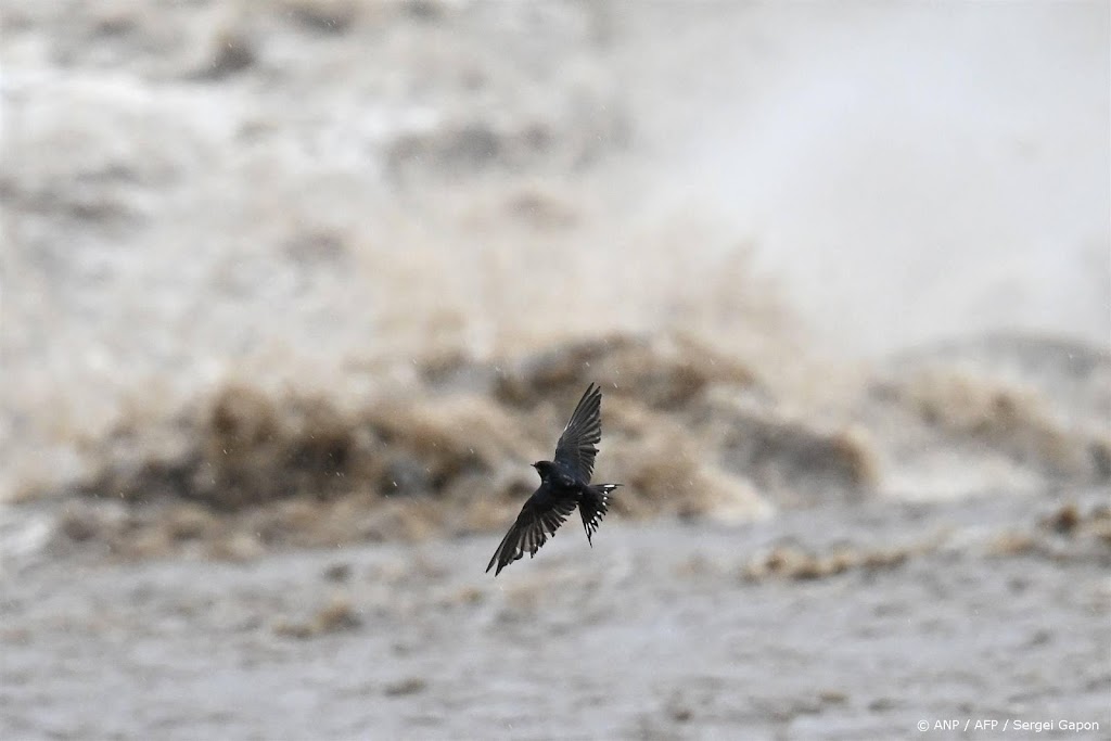 Deelstaat bij Wenen uitgeroepen tot rampgebied na noodweer