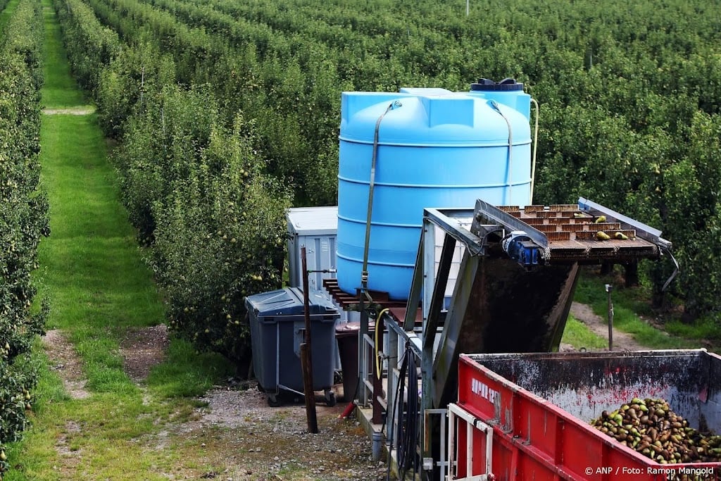 EU-rekenkamer: groenten- en fruittelers te weinig georganiseerd