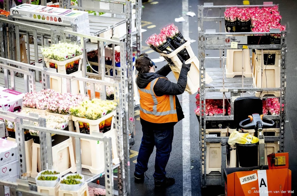 Exporteurs: bloemen- en plantenexport op recordniveau 