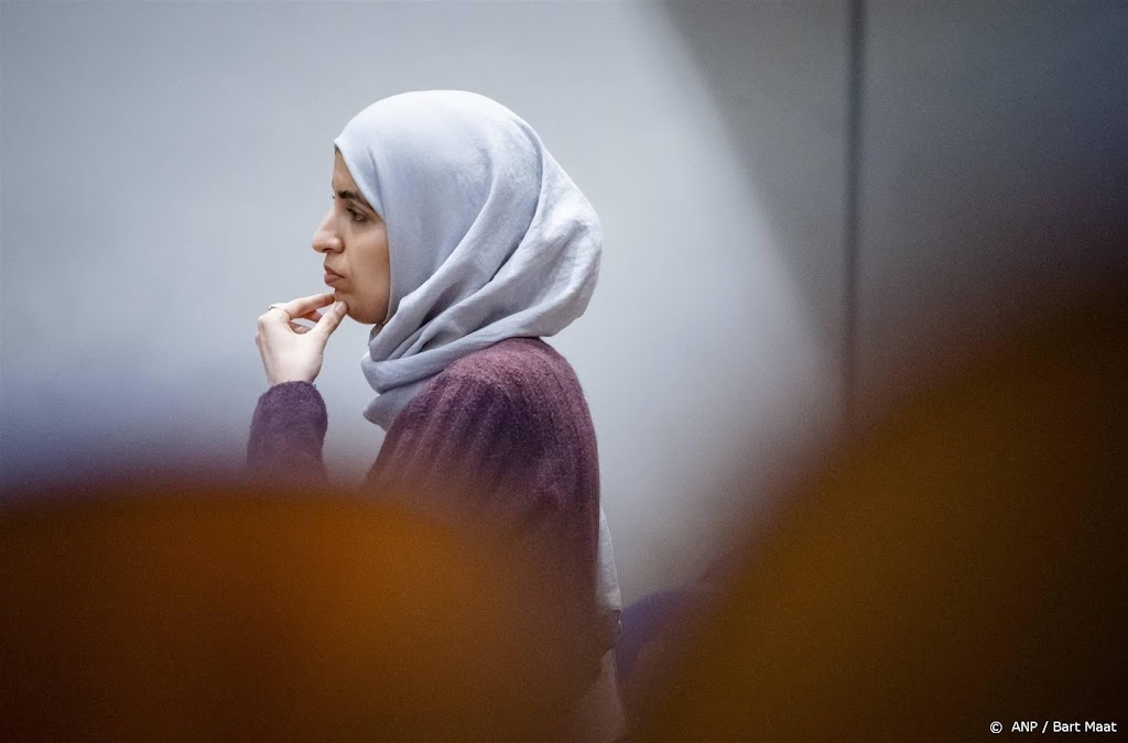 Kamerlid GroenLinks trekt zich terug om missende context Israël