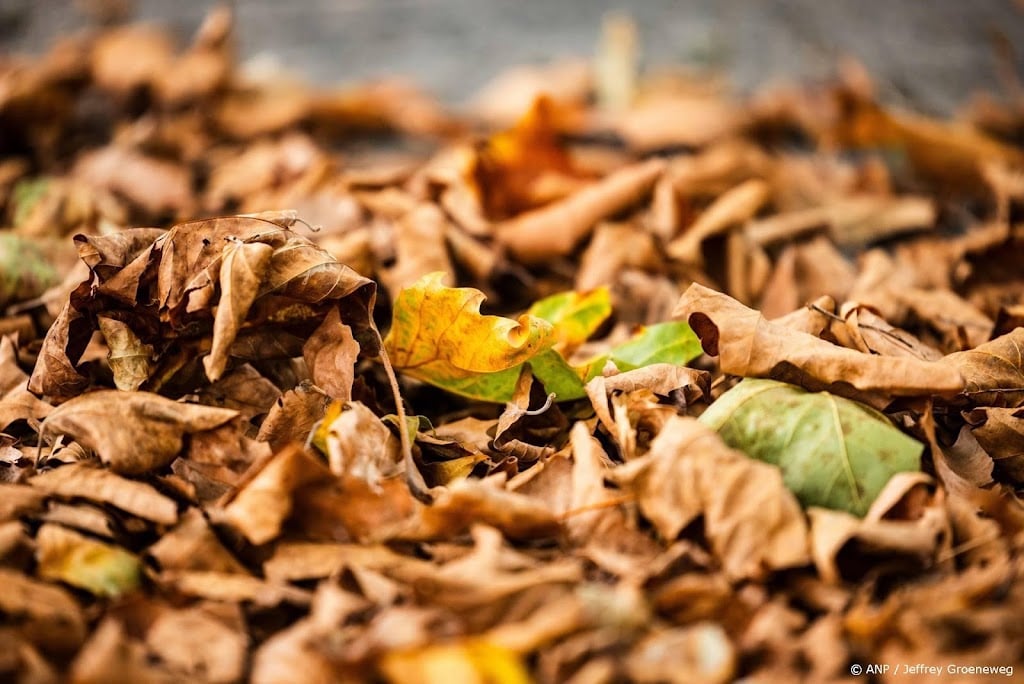 Eerste helft van herfst ruim anderhalve graad warmer dan normaal
