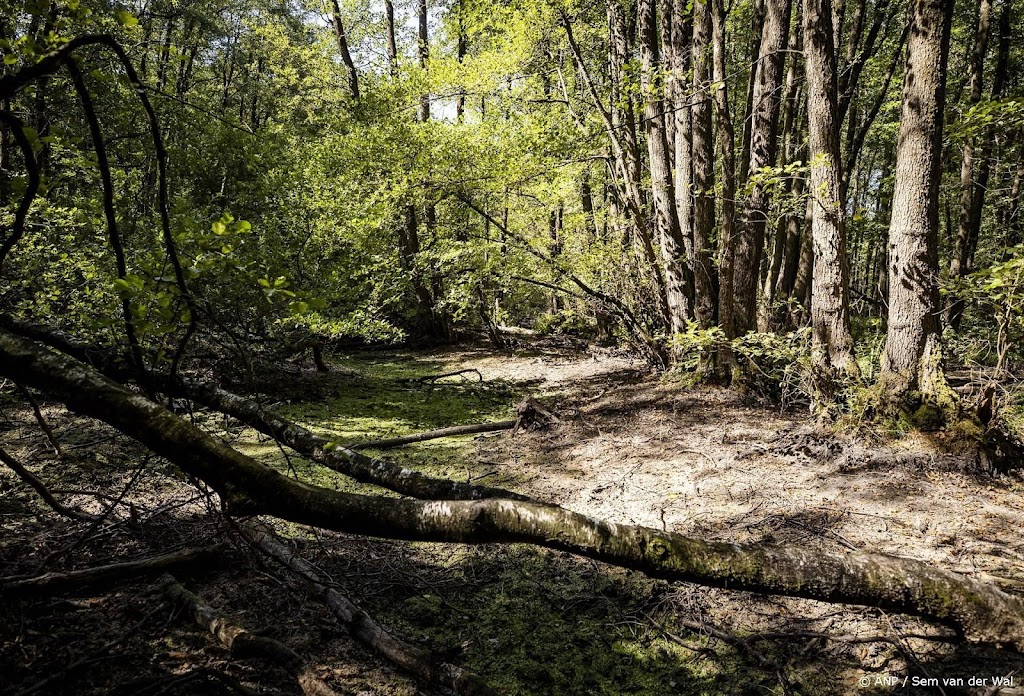 Staatsbosbeheer heeft 8 miljoen euro extra nodig voor toezicht