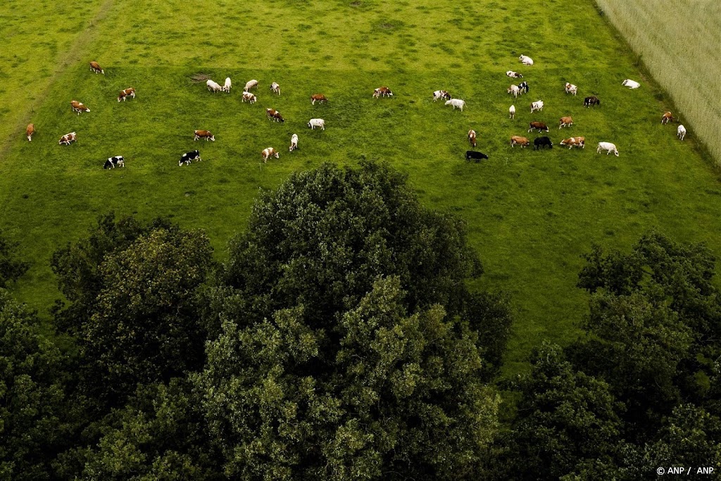 Provincies pleiten voor koerswijziging in aanpak landelijk gebied