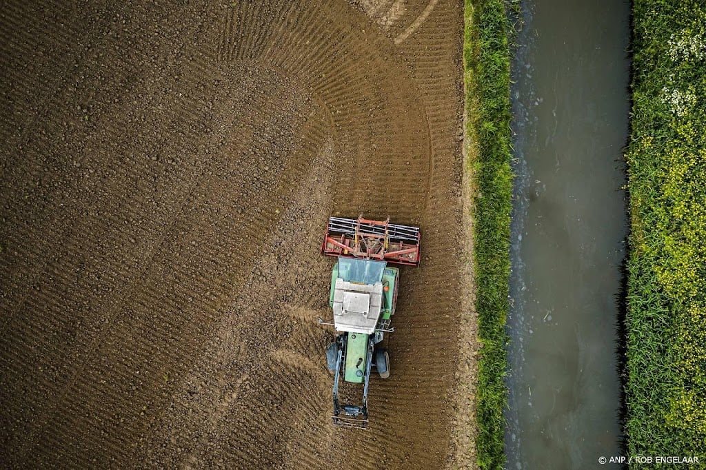 Onderzoekers: boeren en tuinders zien inkomen dit jaar stijgen