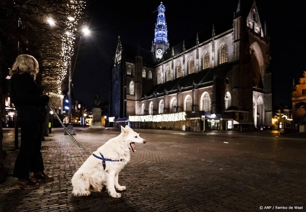 Meer dierenleed dan ooit door vuurwerk, vreest Dierenbescherming