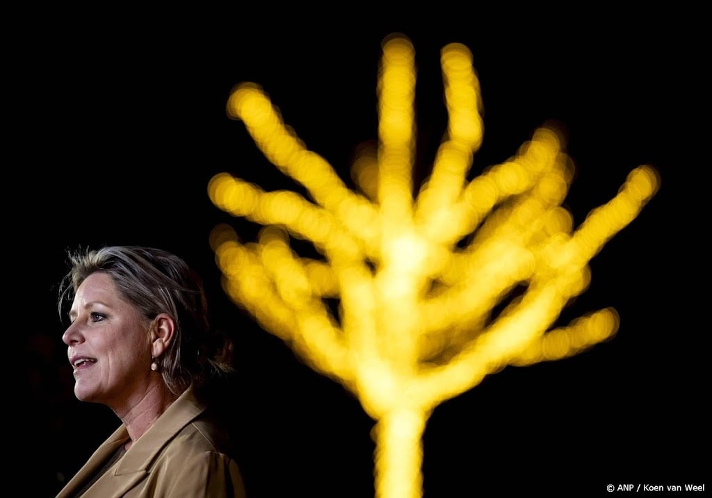 Partijen moeten 30 januari ook akkoord hebben over financiën