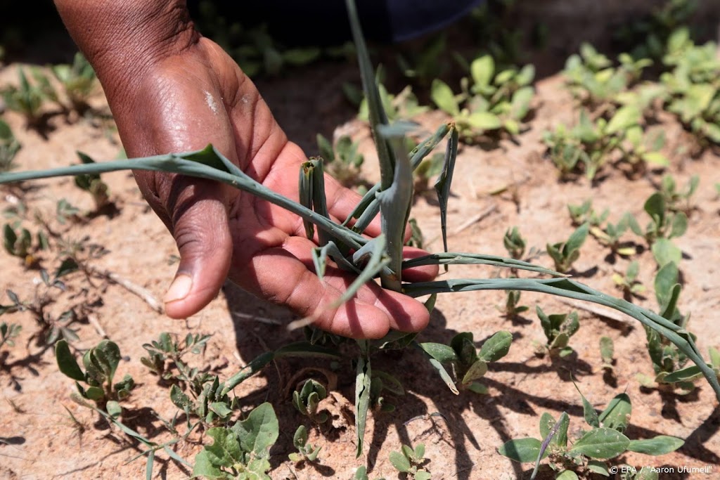 Zuidelijk Afrika krijgt Europese steun tegen hongersnood