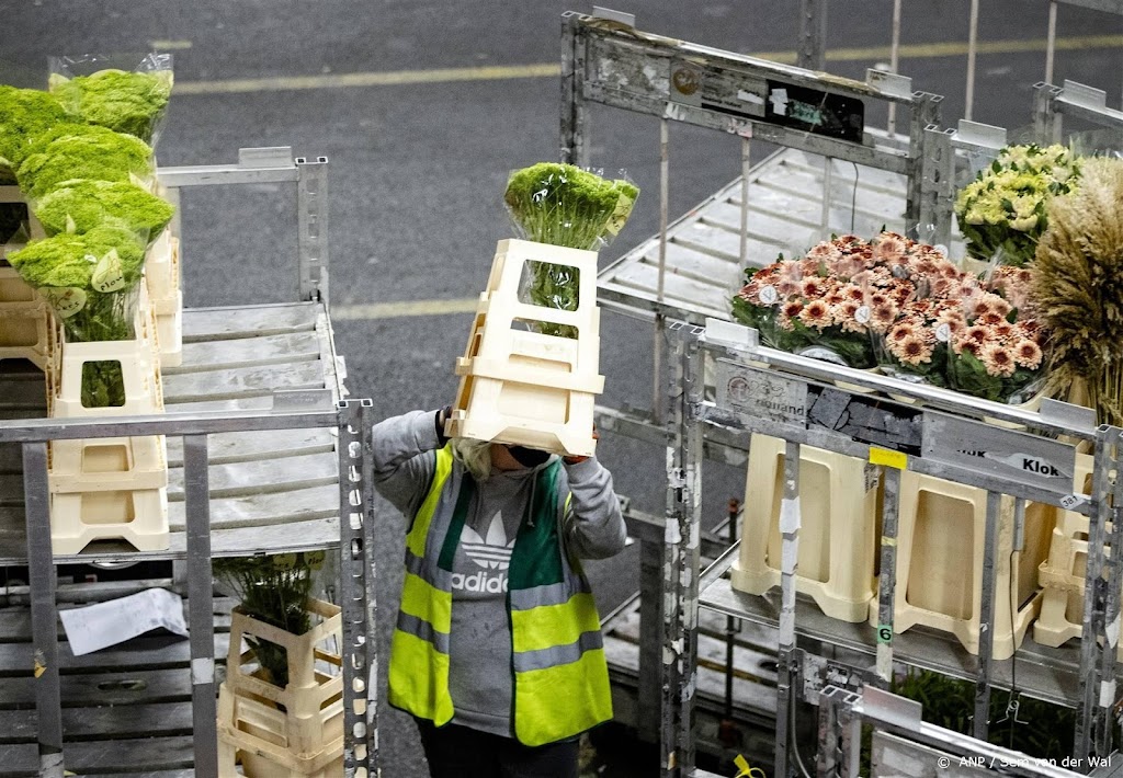 Export bloemen en planten gedaald door energiecrisis en inflatie