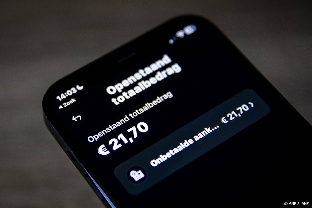 Betaaldienst Billink wil met nieuwe financiering Klarna inhalen