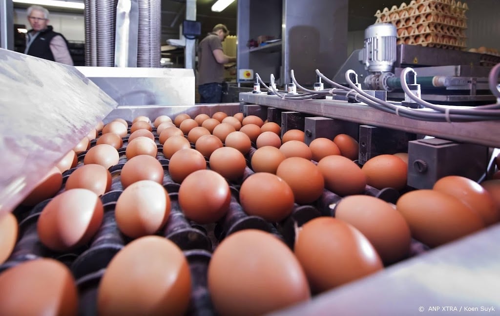Vrije-uitloopeieren worden vanaf woensdag verkocht als scharrelei