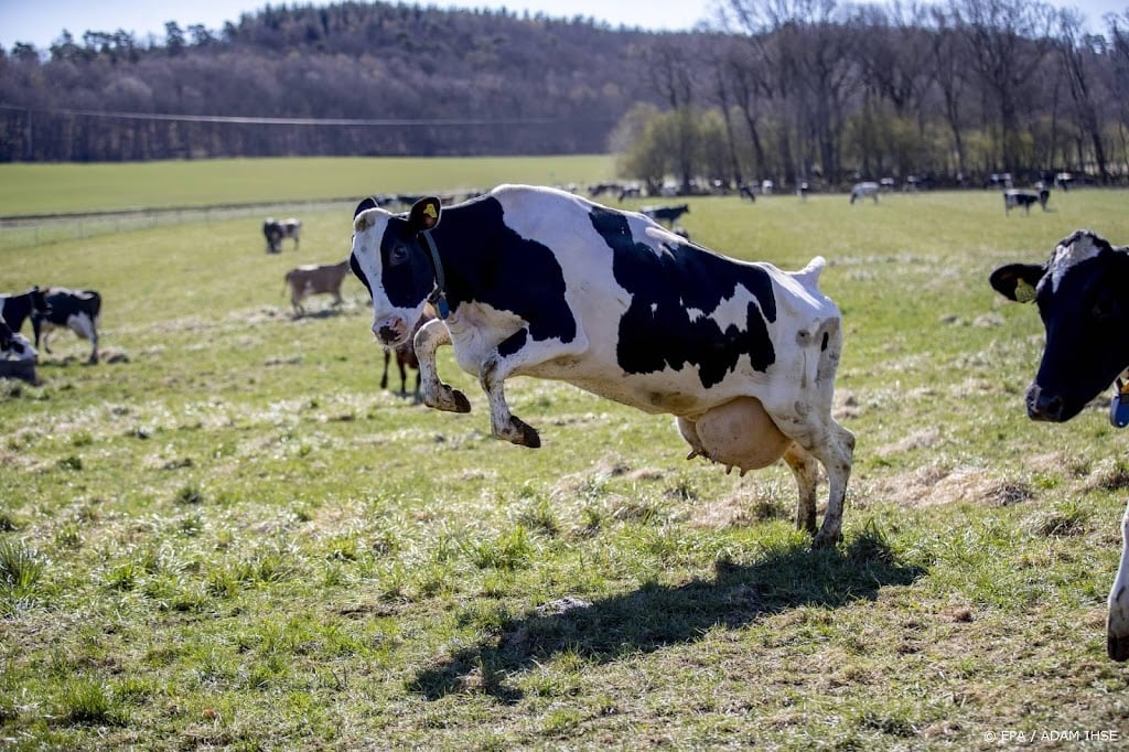 Zweden deelt steun aan boeren uit vanwege hoge energierekening